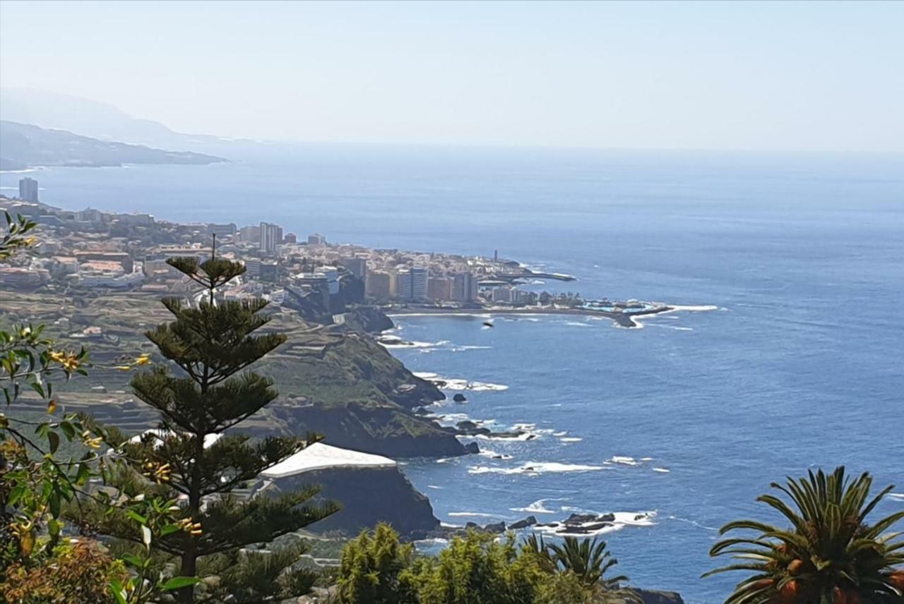 Estudio Brillante, Confortable Y Agradable Puerto de la Cruz  Dış mekan fotoğraf
