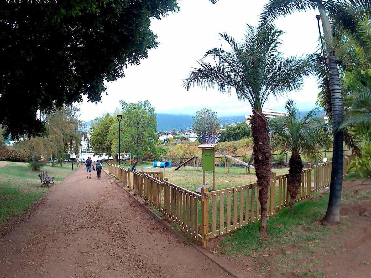 Estudio Brillante, Confortable Y Agradable Puerto de la Cruz  Dış mekan fotoğraf