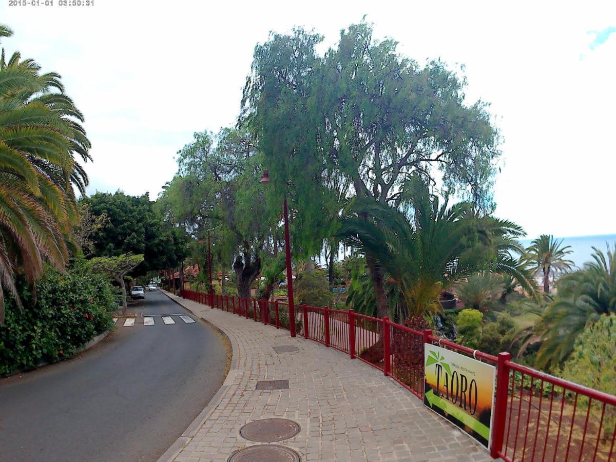 Estudio Brillante, Confortable Y Agradable Puerto de la Cruz  Dış mekan fotoğraf