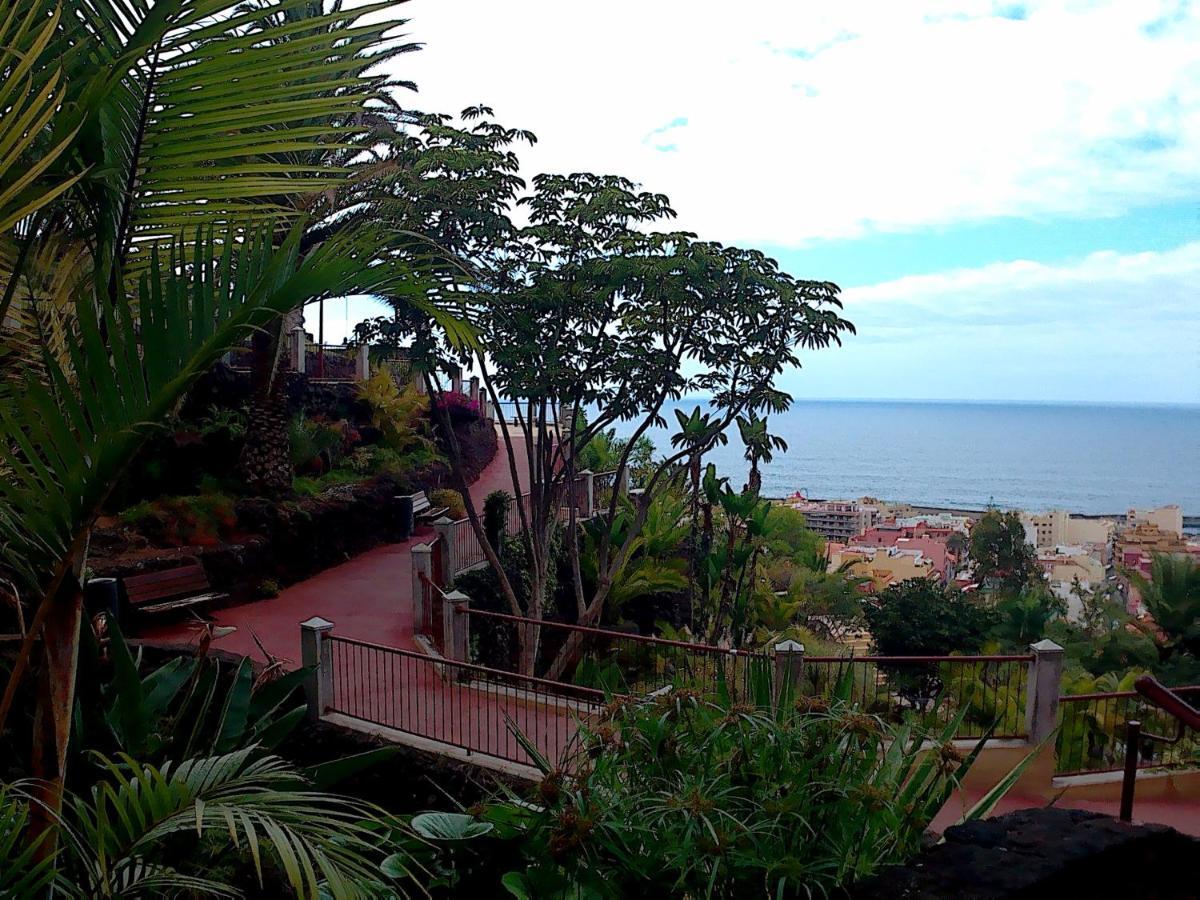 Estudio Brillante, Confortable Y Agradable Puerto de la Cruz  Dış mekan fotoğraf