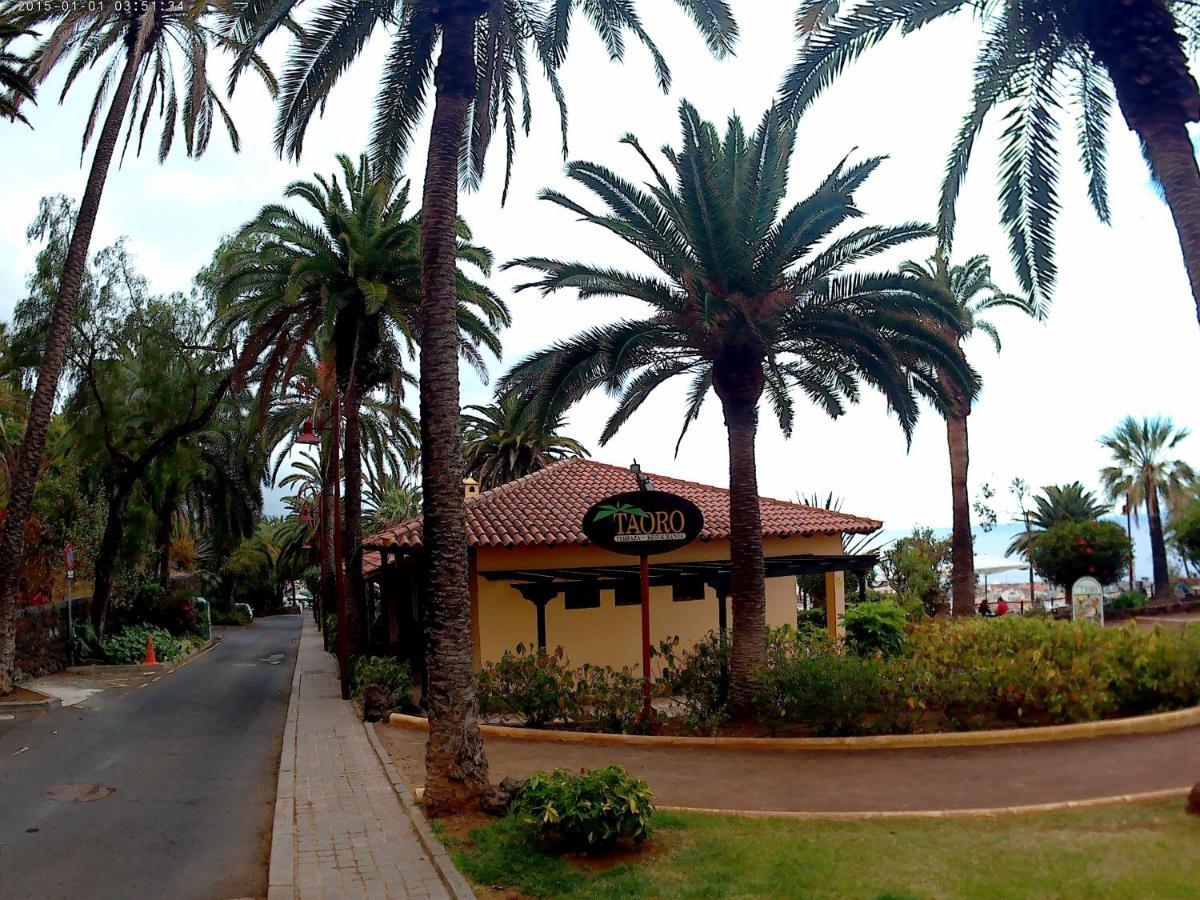Estudio Brillante, Confortable Y Agradable Puerto de la Cruz  Dış mekan fotoğraf