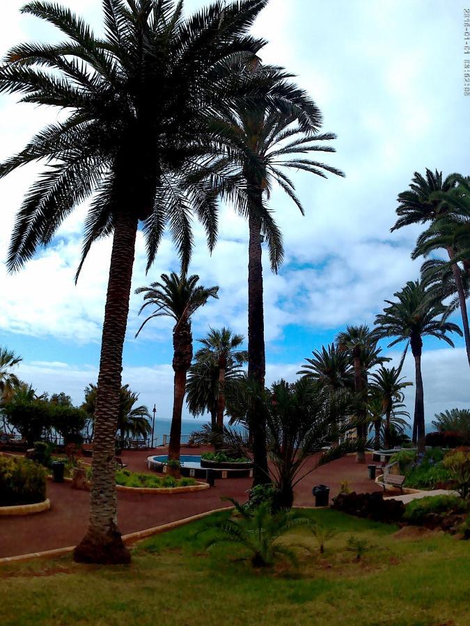 Estudio Brillante, Confortable Y Agradable Puerto de la Cruz  Dış mekan fotoğraf