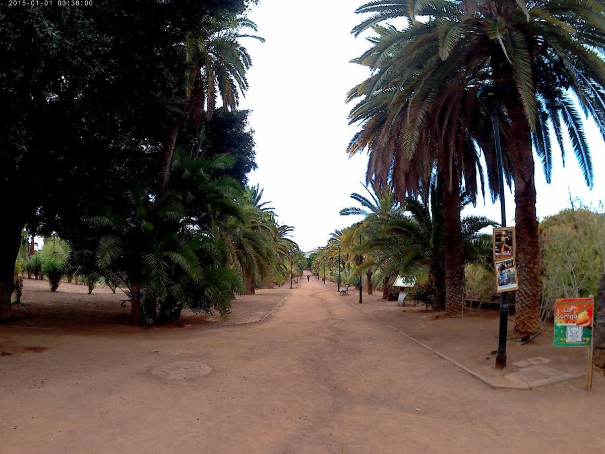 Estudio Brillante, Confortable Y Agradable Puerto de la Cruz  Dış mekan fotoğraf